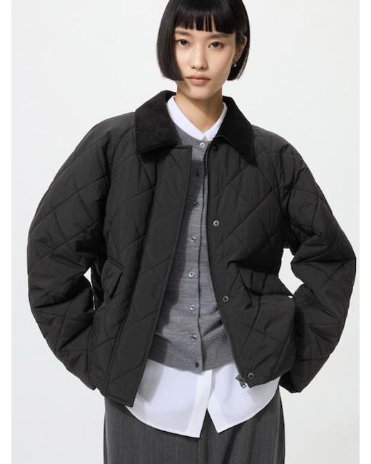 Uniqlo Black Padded Utility Short Jacket for men