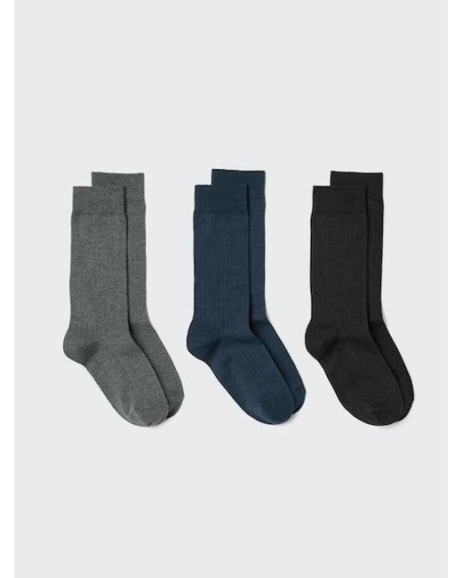 Uniqlo Blue Socks (Ribbed, 3 Pairs)