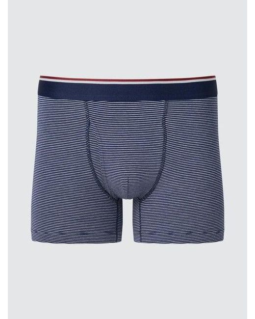Uniqlo Blue Cotton Boxer Briefs (Waist Striped) for men