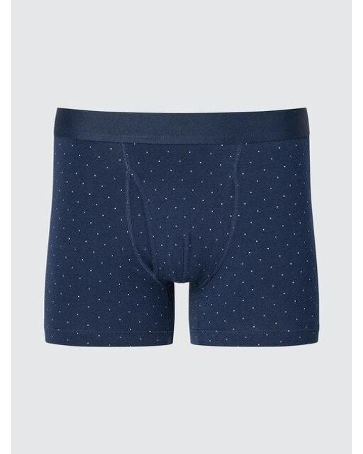 Uniqlo Blue Cotton Boxer Briefs (Dotted) for men