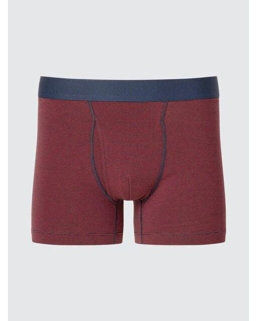 Uniqlo Red Cotton Boxer Briefs (Striped) for men