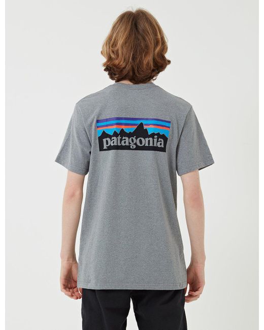 gray patagonia shirt