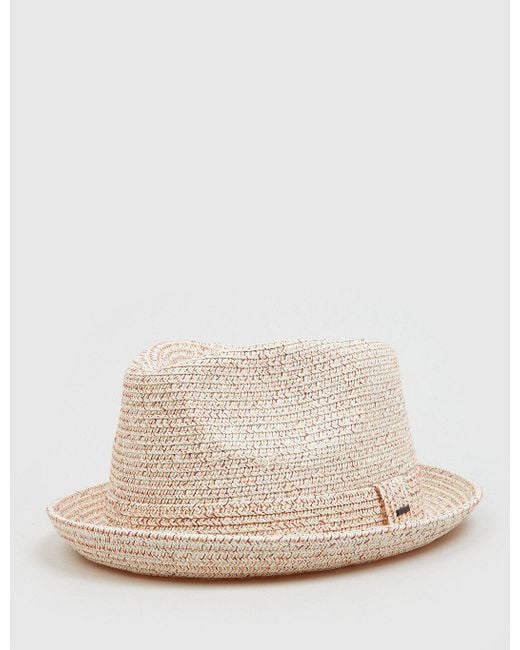 bailey trilby