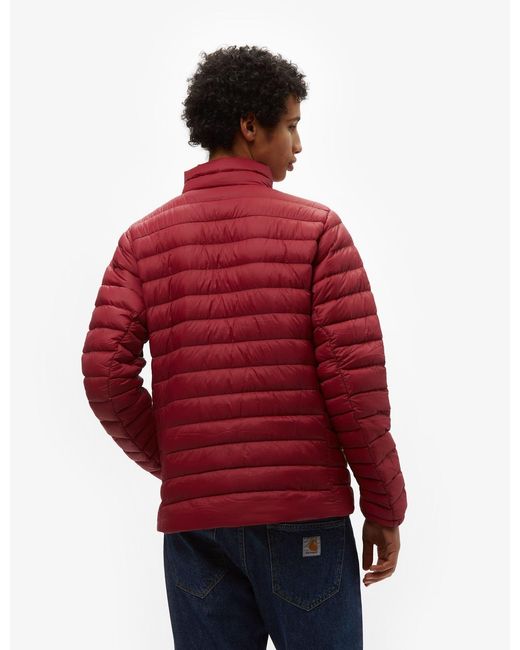 Patagonia Red Down Sweater Jacket for men
