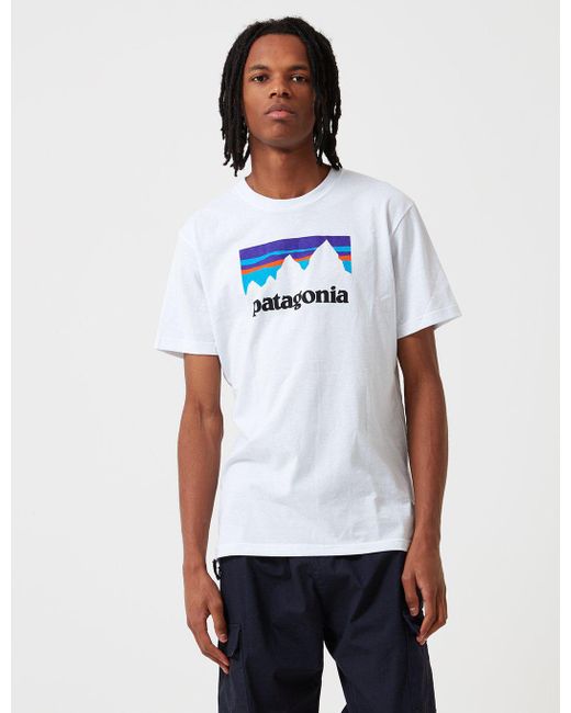 mens patagonia tshirt