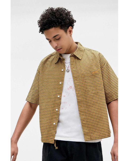 BDG Multicolor Tan Arlo Check Crop Oxford Shirt for men