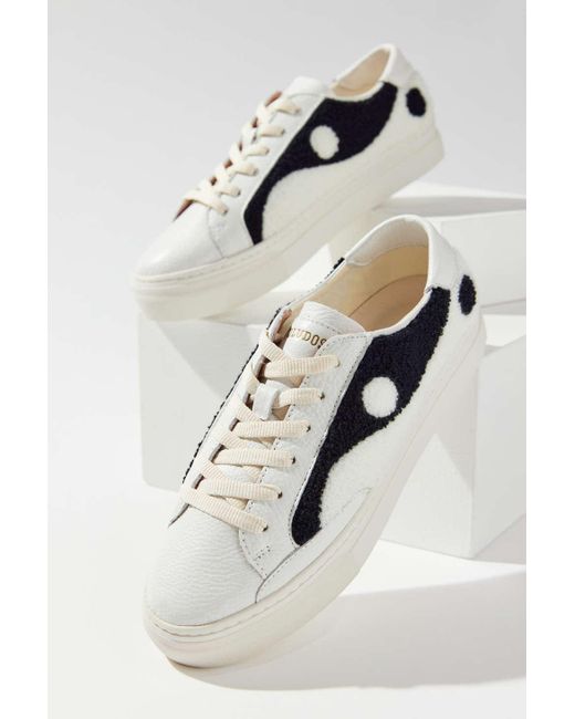 yin yang soludos