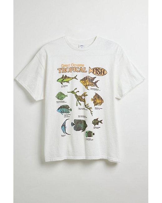 Urban Outfitters Multicolor Great Oceans Fish Graphic Tee for men