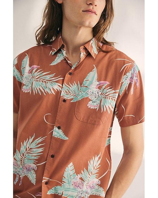 Katin Multicolor Paradise Tropical Print Short Sleeve Button-Down Shirt Top for men