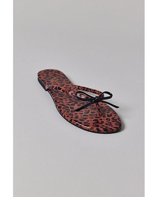 Seychelles Multicolor Wish List Sandal