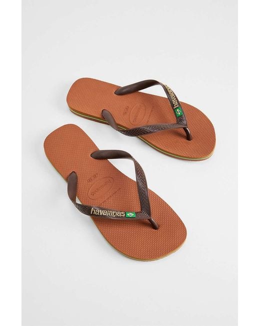 Havaianas Brown Coffee Brasil Flip Flops for men