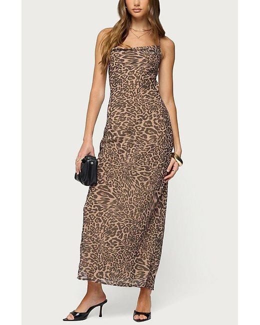 Edikted Ayanah Printed Backless Maxi Dress in Brown | Lyst Edikted Ayanah Printed Backless Maxi Dress in Brown | Lyst