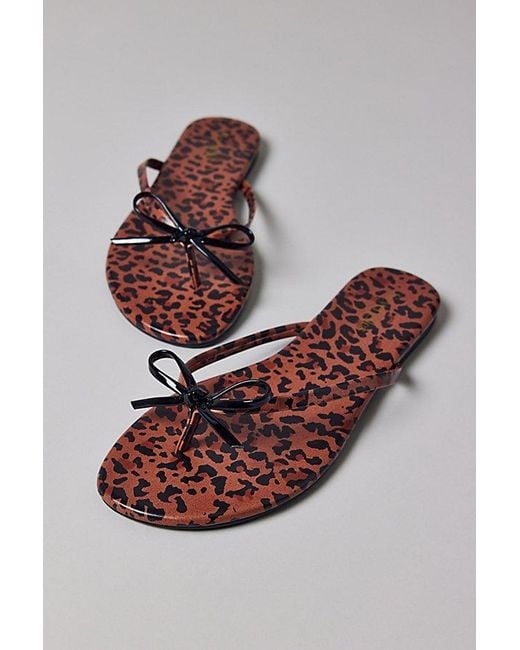 Seychelles Multicolor Wish List Sandal