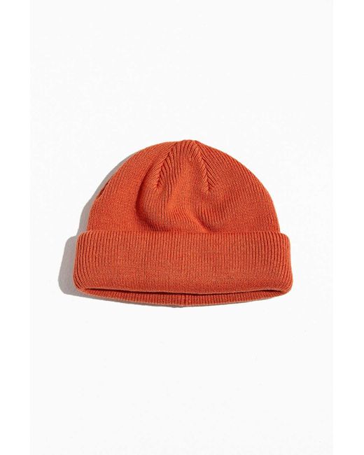 Urban Outfitters Multicolor Uo Short Roll Beanie for men