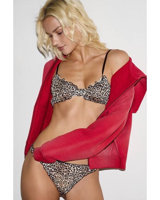 Wild Lovers Red Suki Leopard Print Bralette S At Urban Outfitters