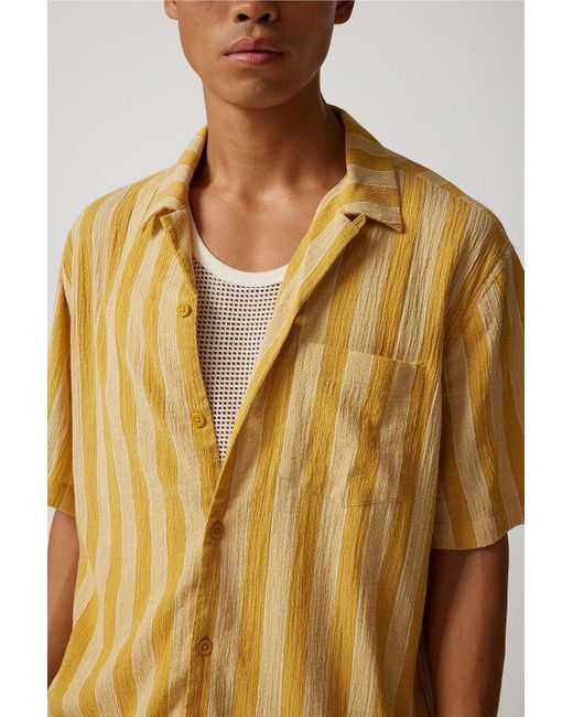 Standard Cloth Metallic Liam Gold Stripe Crinkle Shirt for men