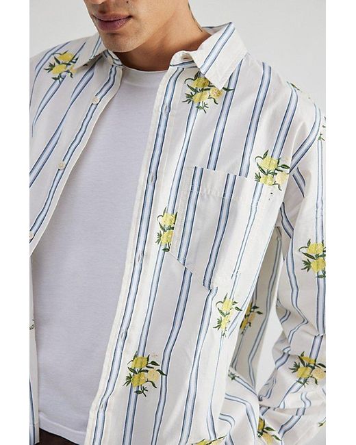 BDG Blue Striped Embroidered Lemon Shirt Top for men