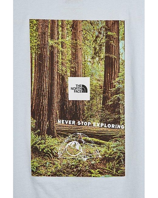 The North Face Gray Forest Photo Tee for men