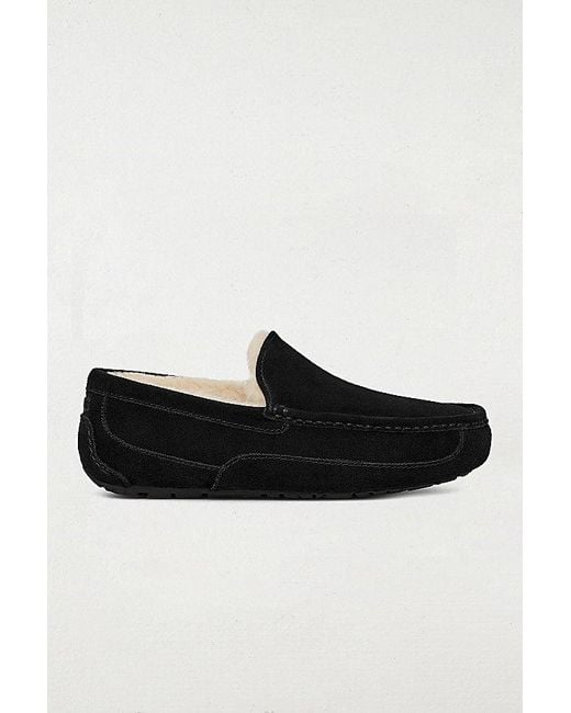 Ugg Black Ascot Slippers for men