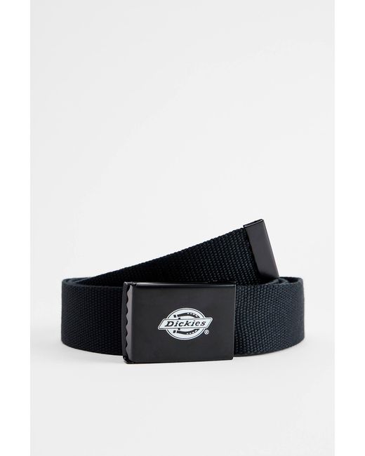 Dickies Black Orcutt Belt for men