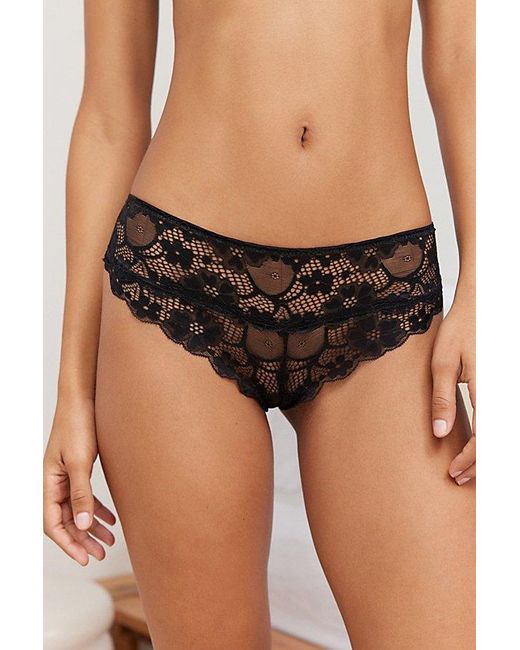 Out From Under Black Lace Hotpant
