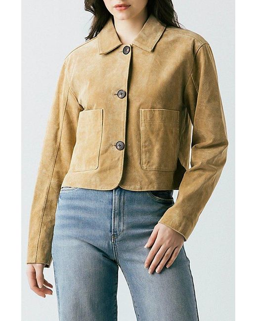 Blank NYC Blue Cinnamon Crunch Cropped Suede Jacket