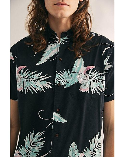 Katin Black Paradise Tropical Print Short Sleeve Button-Down Shirt Top for men