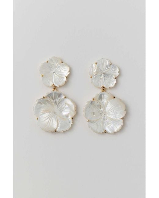 Frasier earrings clearance