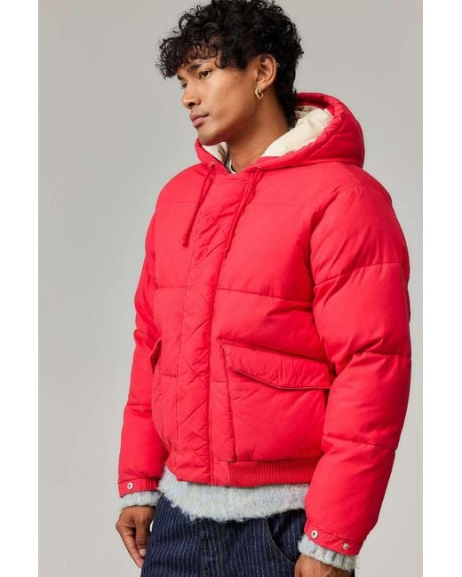 BDG Red Cotton Puffer Jacket for men