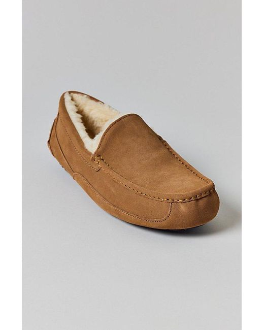 Ugg White Ascot Slippers for men