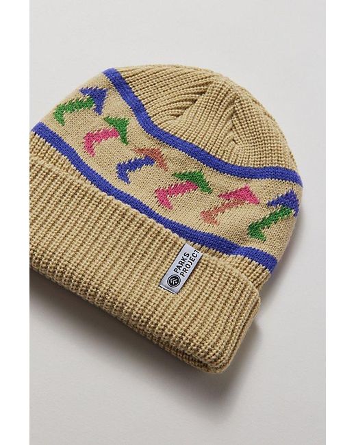 Parks Project Blue Day Shrooms Beanie for men