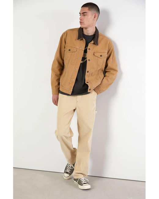 BDG Corduroy Cotton Painter Pant in 