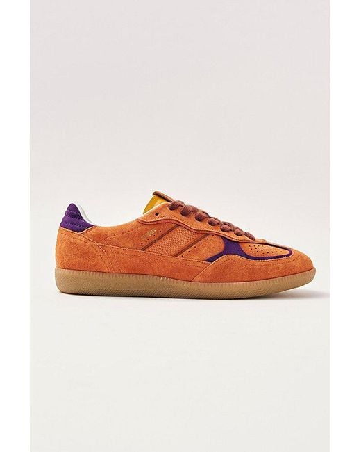 Alohas Orange Tb. 490 Leather Sneakers