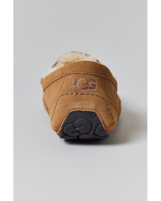 Ugg White Ascot Slippers for men