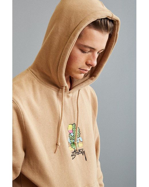 cactus stussy jacket