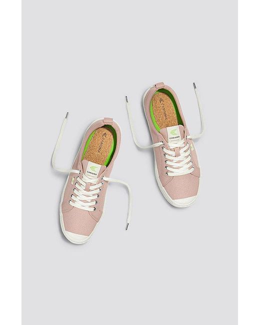 CARIUMA Pink Oca Low Canvas Sneaker for men