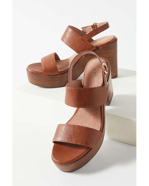 Seychelles Pleased Platform Sandal in Brown Lyst