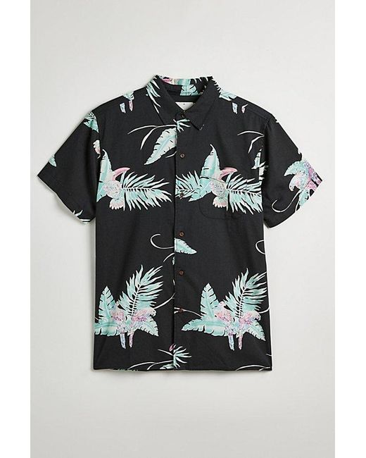 Katin Black Paradise Tropical Print Short Sleeve Button-Down Shirt Top for men