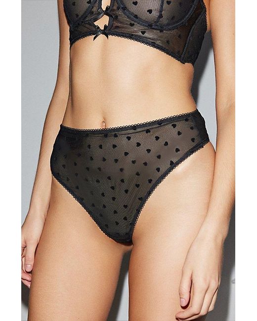 Out From Under Black Wild Lovers X Lolly Sheer Mesh Brief