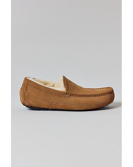 Ugg White Ascot Slippers for men
