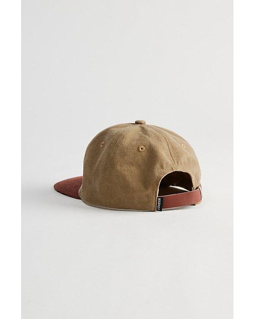 Market Brown Big Bear 5-Panel Baseball Hat for men