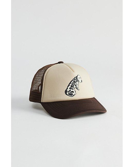 Market Brown Sublime Garden Trucker Hat for men