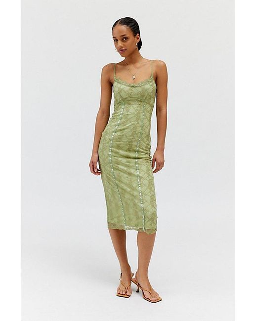 Daisy Street Green Stretch Lace Midi Dress