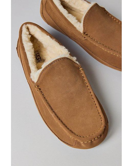 Ugg White Ascot Slippers for men