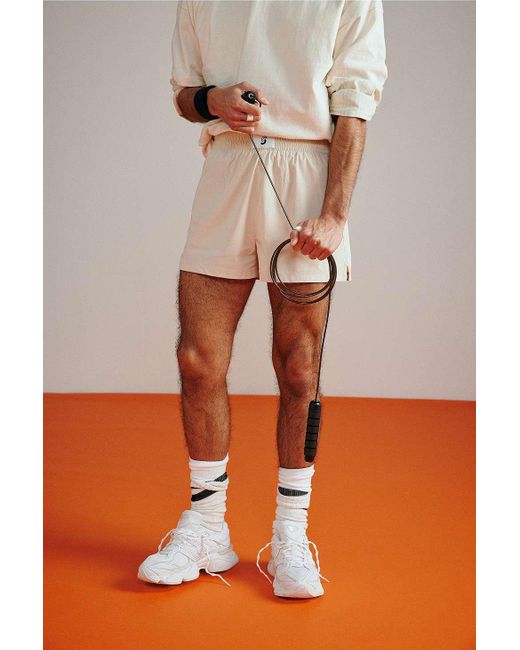 Standard Cloth Orange Stone Boxing Shorts for men