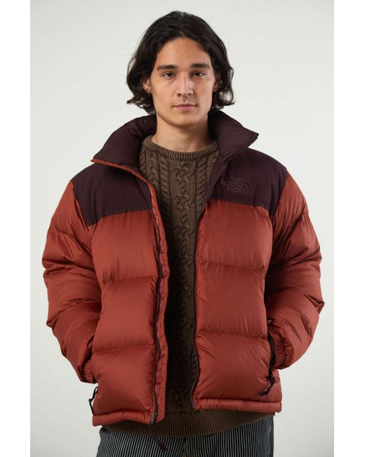 The North Face Brown Eco Nuptse Recycled Puffer Jacket for men