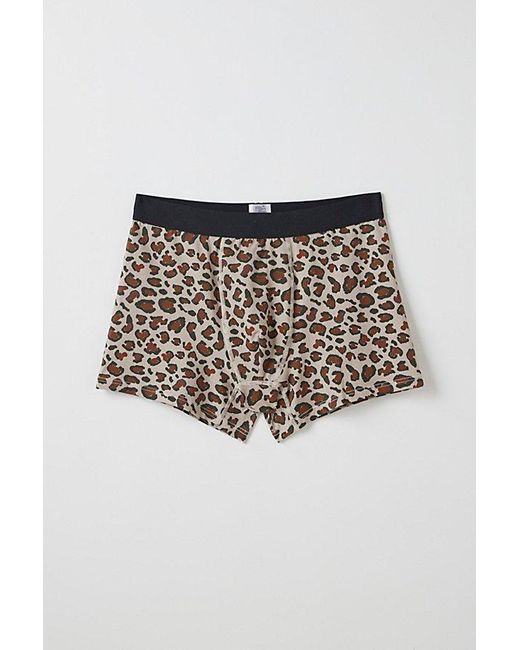 Urban Outfitters Multicolor Print Boxer Brief for men