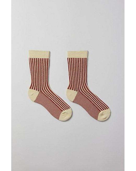 Urban Outfitters Multicolor Ribbed Knit Crew Sock for men
