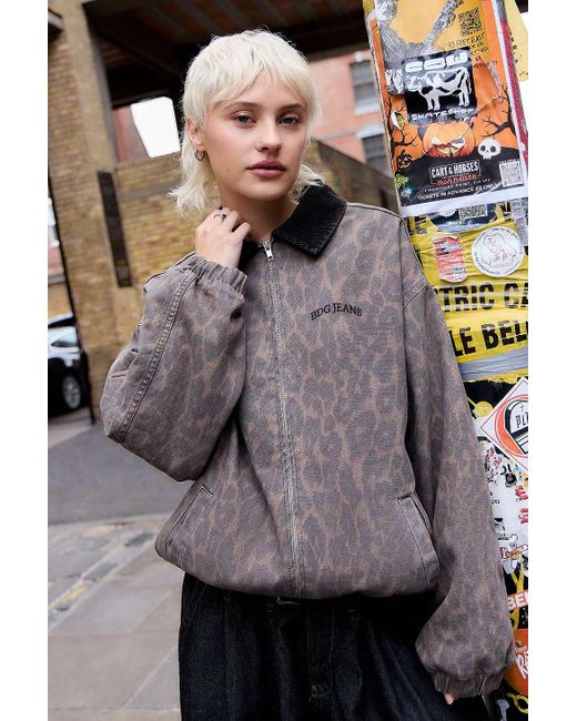 BDG Gray Leopard Print Harrington Jacket
