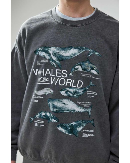 Urban Outfitters Gray Uo Overdyed Black Whales World Sweatshirt for men